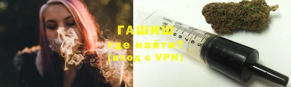 индика Верхний Тагил