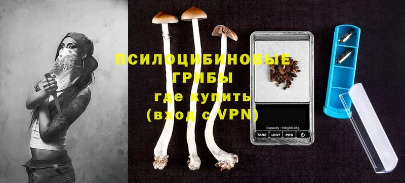 Галлюциногенные грибы MAGIC MUSHROOMS  где купить наркоту  сайты даркнета какой сайт  Алатырь 